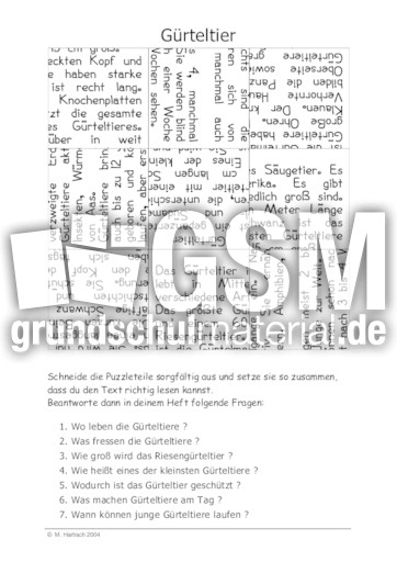 Gürteltier.pdf